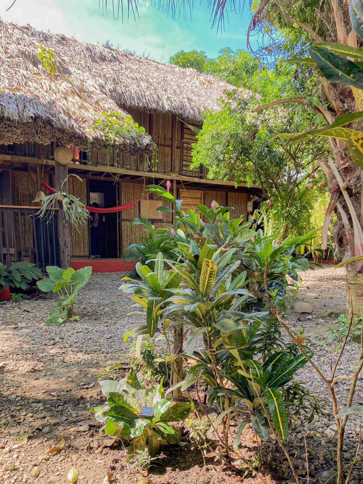 Hostal Zinpar Palomino Exteriör bild