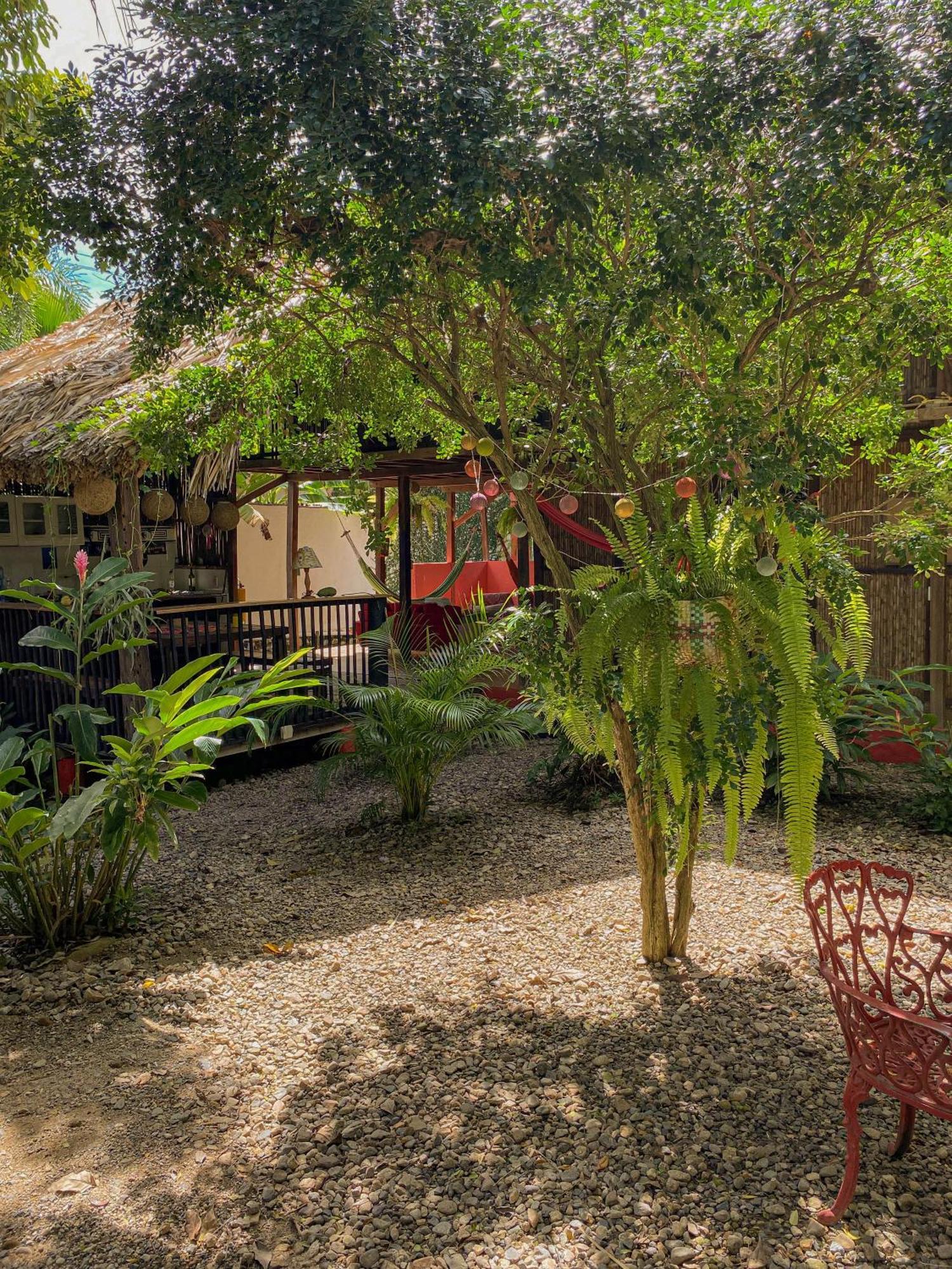 Hostal Zinpar Palomino Exteriör bild